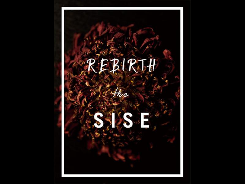 Sise 2015ss collectionREBIRTH the SISE