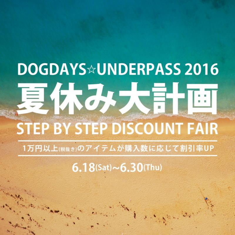 Ƶ٤ײ2016 Step by Step Discount Fair