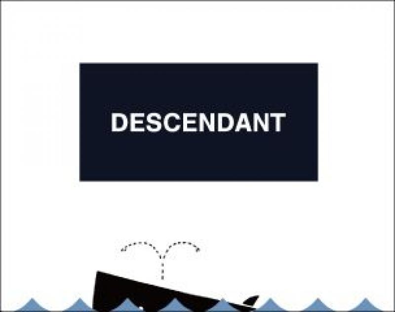 DESCENDANT 꿷ƥब٤ޤ