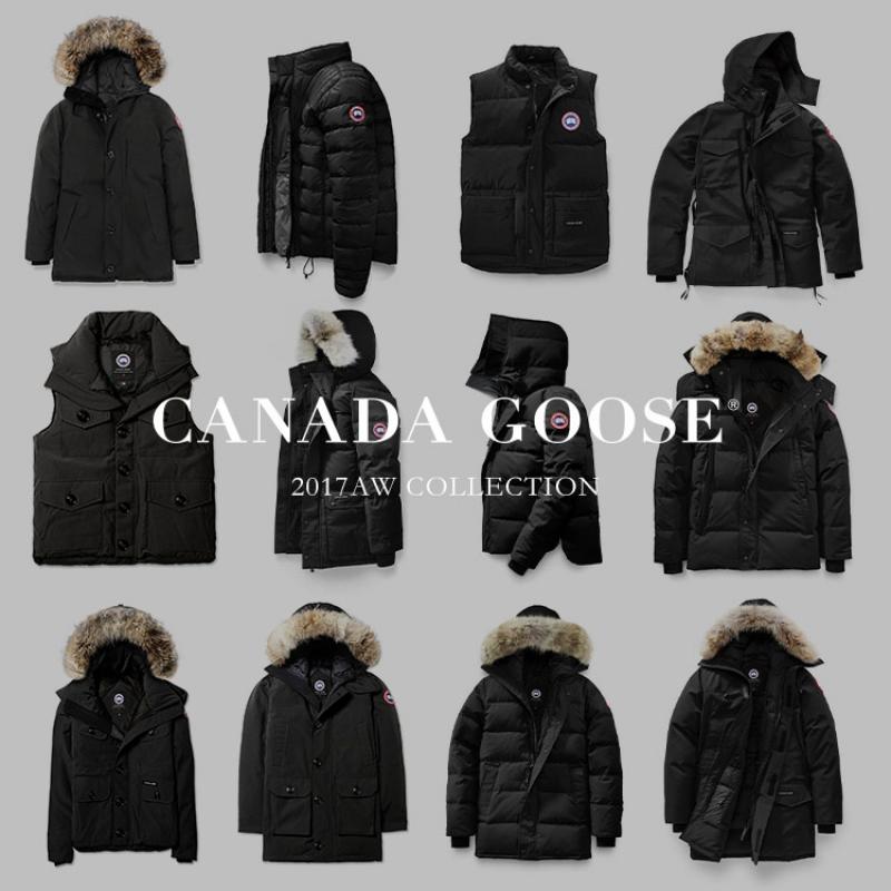 CANADA GOOSE | 󥸥㥱åȤ¿ȯ