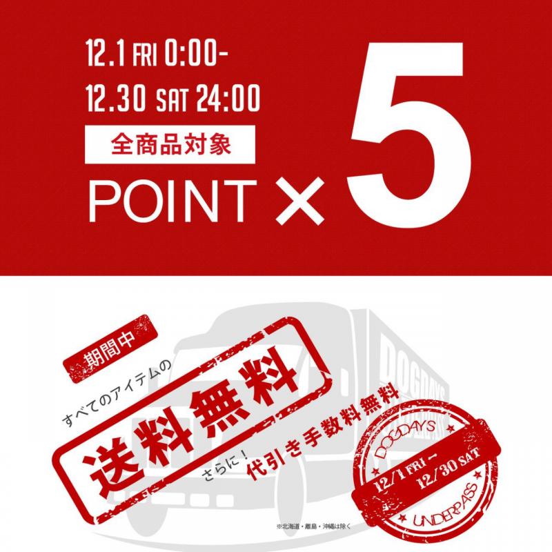  DOGDAYS / UNDERPASS  5 Point Up Fair‼