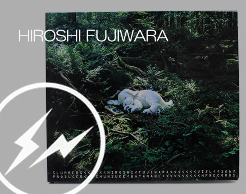 FUJIWARA HIROSHI / ƥ"slumbers"