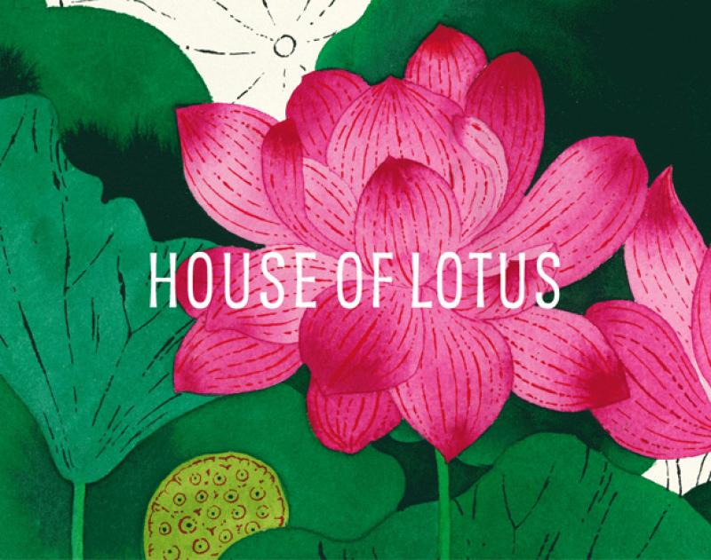 HOUSE OF LOTUS   / ƥ "ॹȥåPT" and more