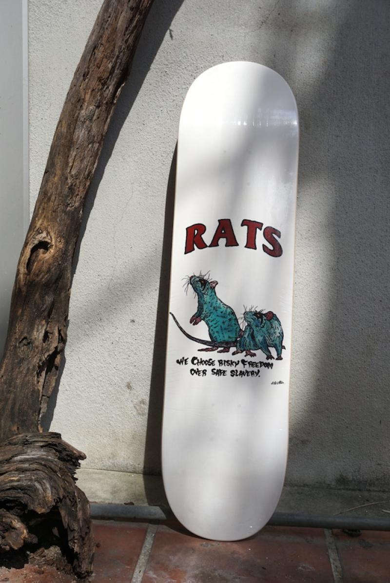  RATS NEW ARRIVAL 