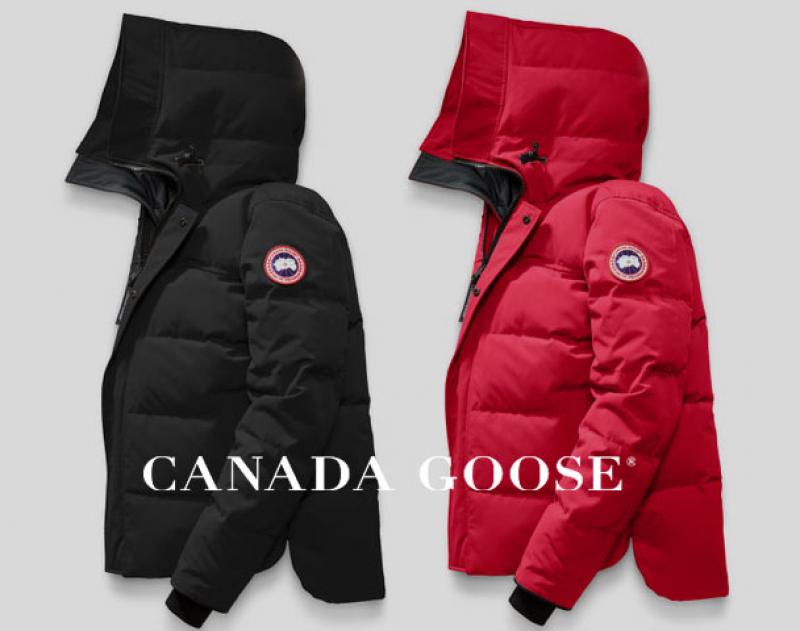 CANADA GOOSE / ƥ