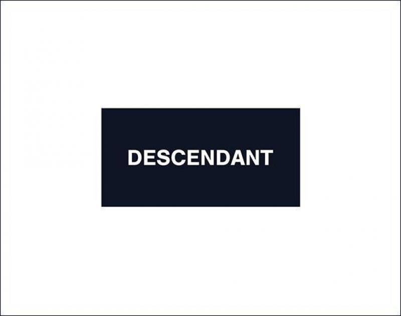 DESCENDANT / ݥåȥƥ 