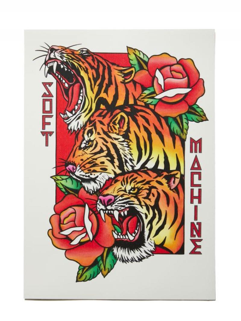 SOFTMACHINE(եȥޥ)PHARAOH TIGER FLASH