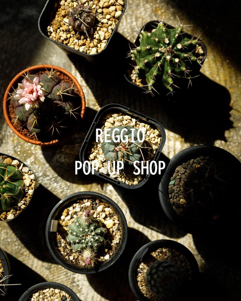 ڽREGGIO POP UP SHOP !