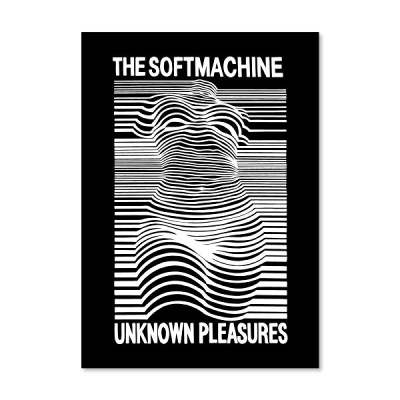 SOFTMACHINE(եȥޥ)PLEASURES POSTER