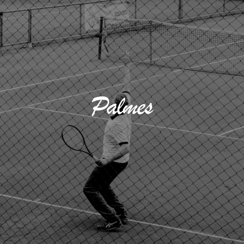 谷֥ Palmes